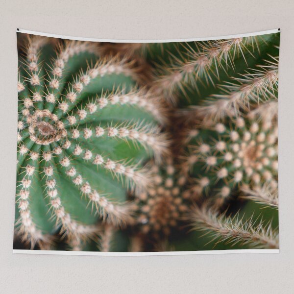 Item preview, CACTUS - PHOTOS - DECORATION - ART - MINIMALIST - DECO designed and sold by Tropical Blood.