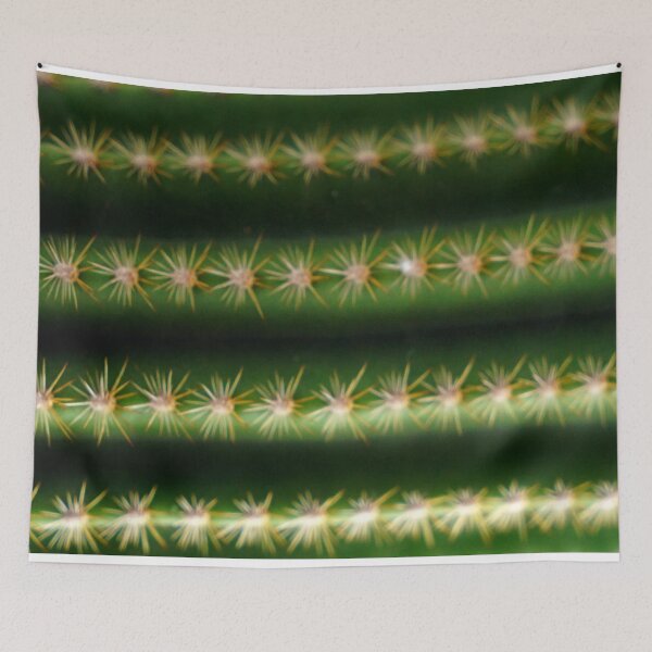 Item preview, CACTUS LOVER - CACTUS PLANT - PHOTO - DECORATION - MINIMAL  designed and sold by Tropical Blood.