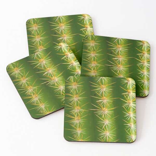 Item preview, CACTUS PLANT FLOWER - PLANTS - PHOTO - ORIGINAL - FOCUS  designed and sold by Tropical Blood.