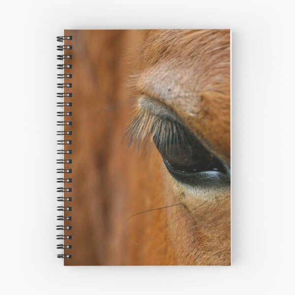 Item preview, Ojo de Caballo designed and sold by Valerie Rosen Photography.