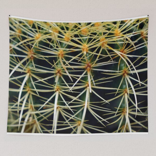 Item preview, CACTUS PLANT FLOWER - PLANTS - PHOTO - ORIGINAL - CACTUS PHOTO - MINIMALIST  designed and sold by Tropical Blood.