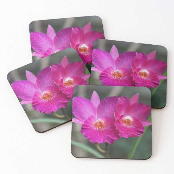 Item preview, Blooms2 designed and sold by gordonartist1.