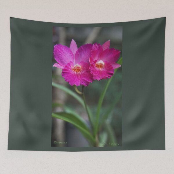 Item preview, Blooms2 designed and sold by gordonartist1.
