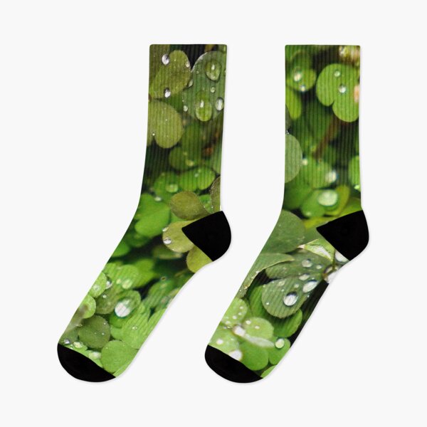 Item preview, GOOD LUCK - PLANTS - PLANT LOVER - PHOTO - POSTER designed and sold by Tropical Blood.