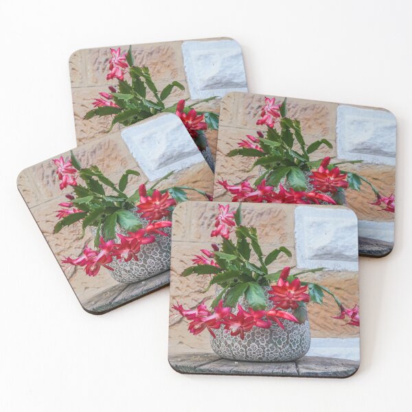 Item preview, Flowering zygocactus, Christmas cactus designed and sold by vanessal.