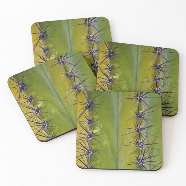 Item preview, CACTUS PLANT - PHOTO - DECORATION - DECO - POSTER - CACTUS FLOWER  designed and sold by Tropical Blood.