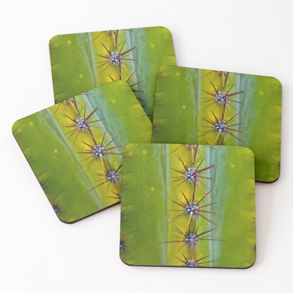 Item preview, CACTUS PLANTING - PLANT - PHOTO - DECORATION  designed and sold by Tropical Blood.