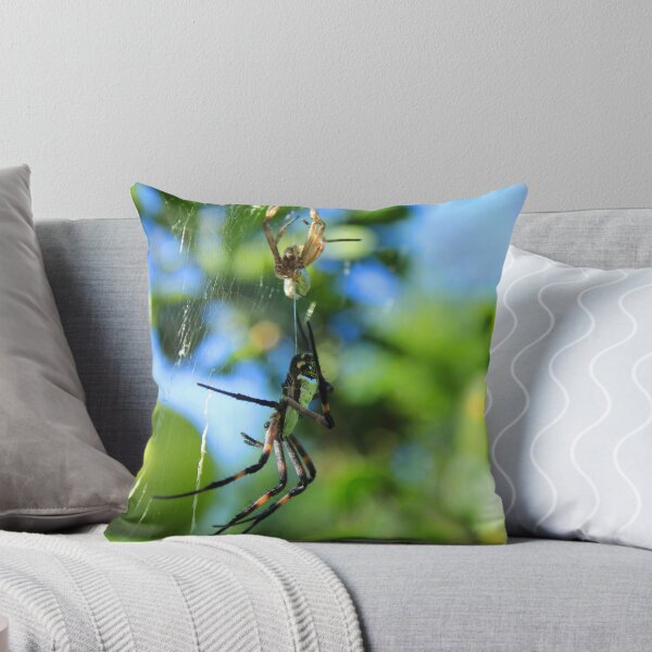 Item preview, Orb Weaver Spider After Molting designed and sold by rhamm.