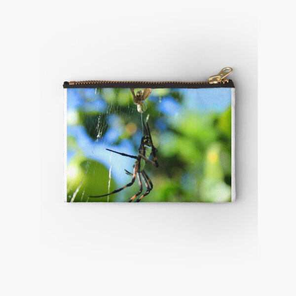 Item preview, Orb Weaver Spider After Molting designed and sold by rhamm.