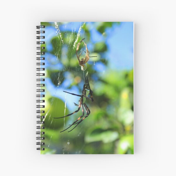 Item preview, Orb Weaver Spider After Molting designed and sold by rhamm.