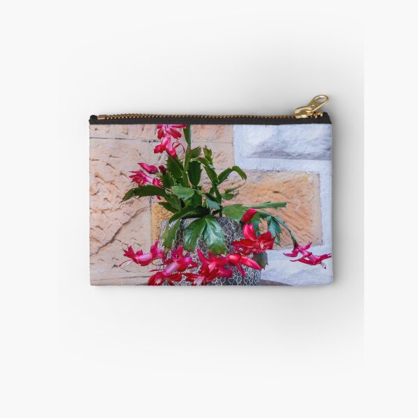 Item preview, Flowering zygocactus, Christmas cactus, in a pot as a Christmas decoration designed and sold by vanessal.
