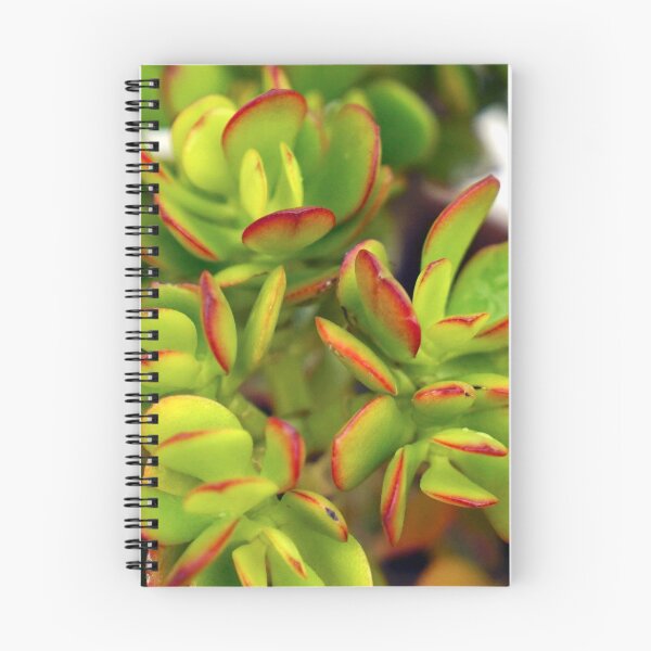 Artikelvorschau, PLANTS - GREEN PLANTS - DECORATION - GREEN - PHOTO entworfen und verkauft von Tropical Blood.