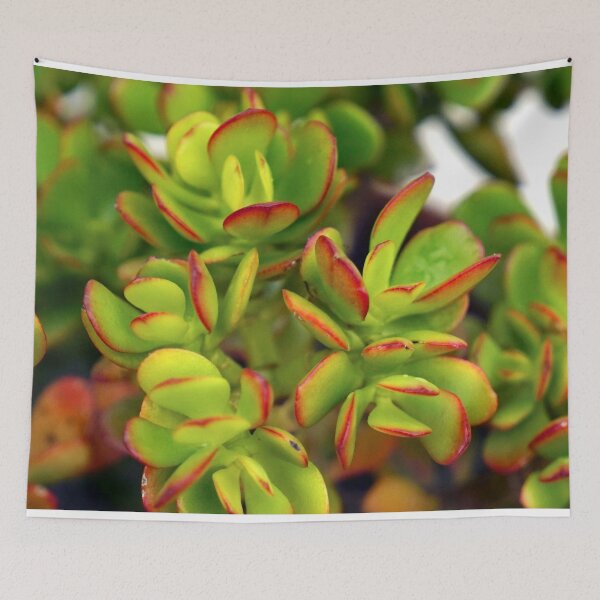 Item preview, PLANTS - GREEN PLANTS - DECORATION - GREEN - PHOTO designed and sold by Tropical Blood.