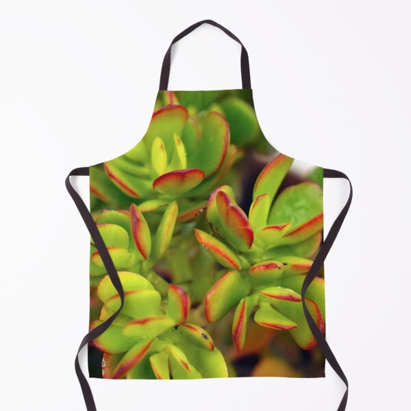 Item preview, PLANTS - GREEN PLANTS - DECORATION - GREEN - PHOTO designed and sold by Tropical Blood.