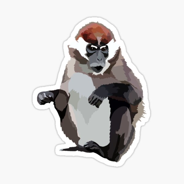 Item preview, C is for Cherry Crowned Mangabey Monkey,Cherry-Crowned Mangabey: The Striking Primate of African Forests designed and sold by PrettylittlepastelUk.