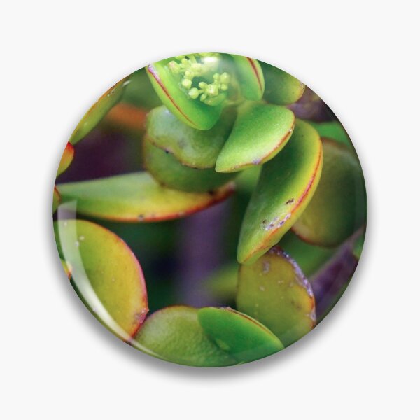 Artikelvorschau, GREEN PLANTS - DECORATION - ZEN - SHAPES - PHOTO - POSTER entworfen und verkauft von Tropical Blood.