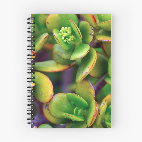 Artikelvorschau, GREEN PLANTS - DECORATION - ZEN - SHAPES - PHOTO - POSTER entworfen und verkauft von Tropical Blood.