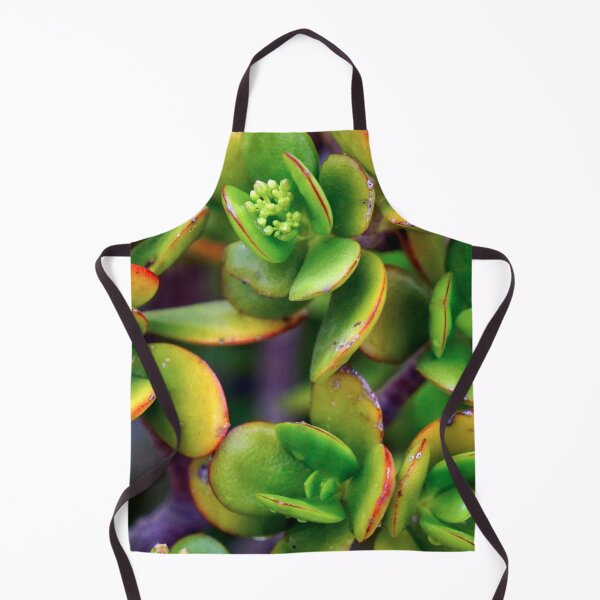 Artikelvorschau, GREEN PLANTS - DECORATION - ZEN - SHAPES - PHOTO - POSTER entworfen und verkauft von Tropical Blood.