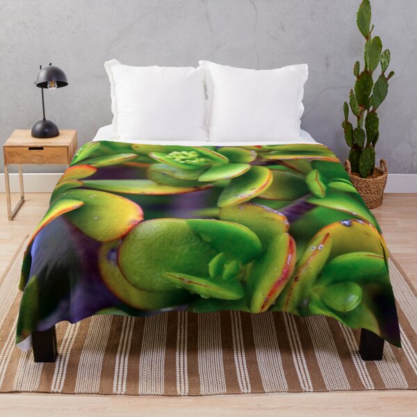 Artikelvorschau, GREEN PLANTS - DECORATION - ZEN - SHAPES - PHOTO - POSTER entworfen und verkauft von Tropical Blood.