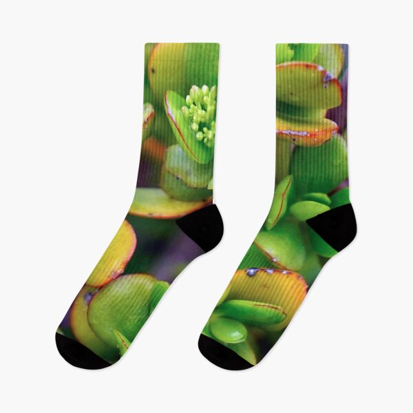 Item preview, GREEN PLANTS - DECORATION - ZEN - SHAPES - PHOTO - POSTER designed and sold by Tropical Blood.