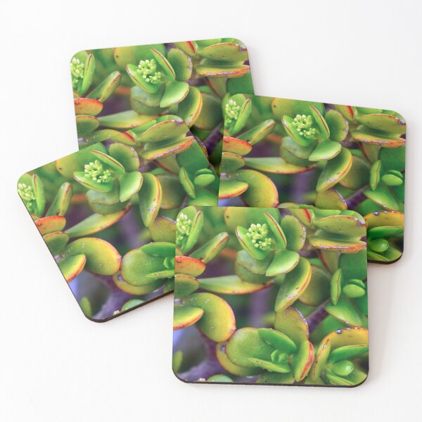 Artikelvorschau, GREEN PLANTS - DECORATION - ZEN - SHAPES - PHOTO - POSTER entworfen und verkauft von Tropical Blood.