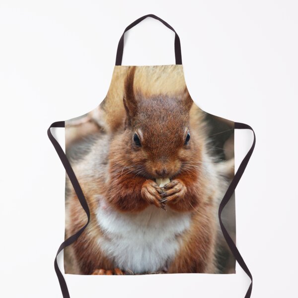 Item preview, Hungry red squirrel designed and sold by HaleyRedshaw.