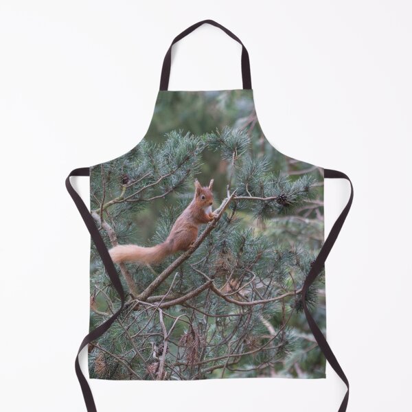 Item preview, red squirrel in the trees designed and sold by HaleyRedshaw.