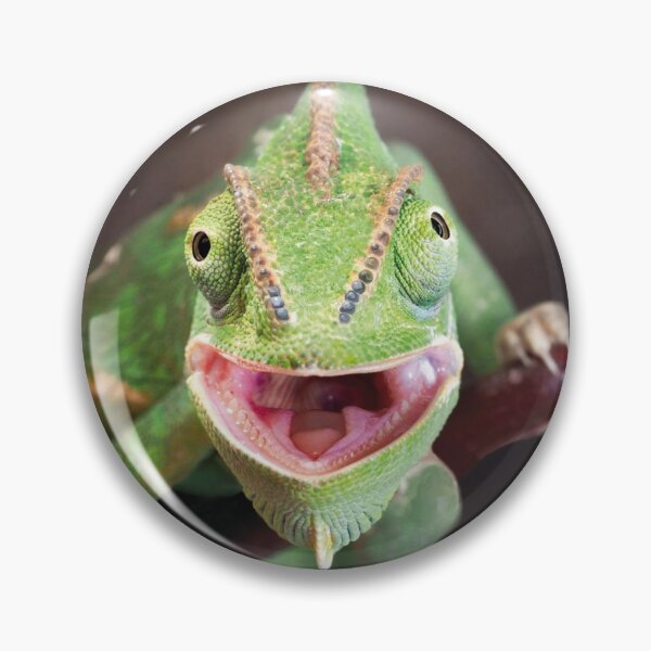 Item preview, chameleon designed and sold by 1001karte.