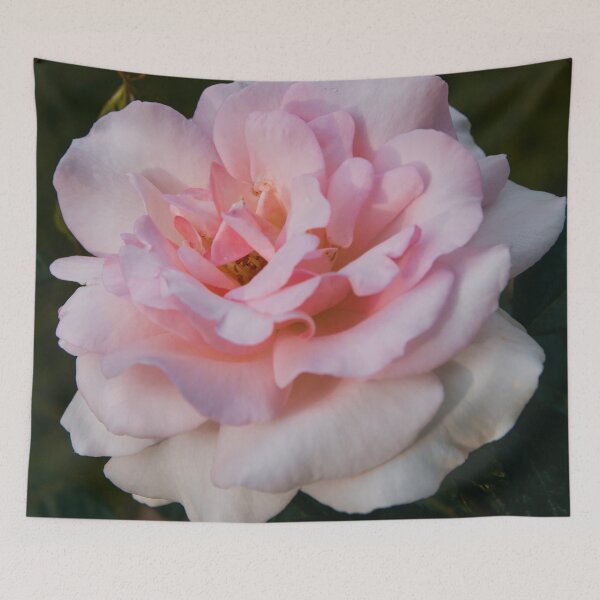 Item preview, Impresión rosa rosa designed and sold by DebonitaDeore.