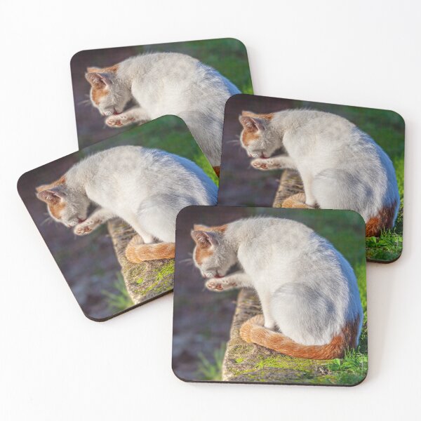 Item preview, Wash and Brush up Cat designed and sold by Dalyndigital Photography.