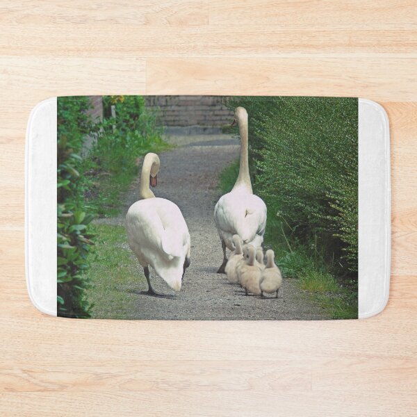 Item preview, Swan family walking with their cygnets designed and sold by Anita van Gendt.