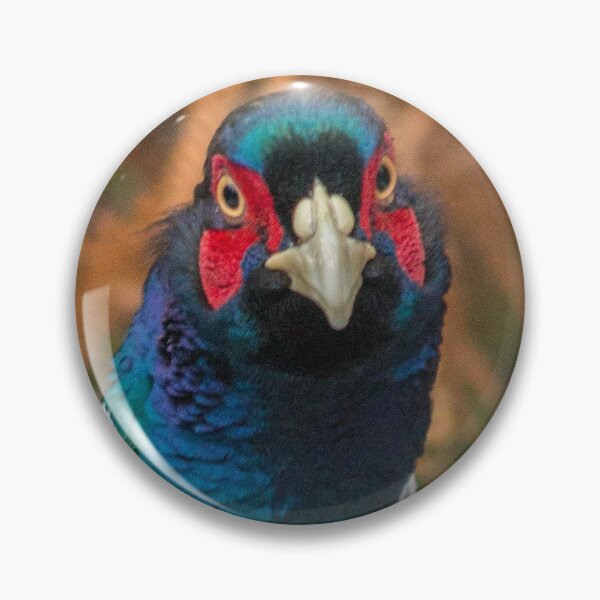 Item preview, Male Pheasant in Autumn designed and sold by HaleyRedshaw.