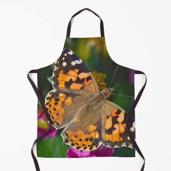 Item preview, Painted Lady Butterfly (Vanessa cardui) designed and sold by Martyn R Arnold Fine Art Nature & Landscape Photography.