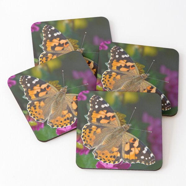 Item preview, Painted Lady Butterfly (Vanessa cardui) designed and sold by Martyn R Arnold Fine Art Nature & Landscape Photography.