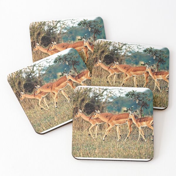 Item preview, Gazelle Family in the Wild, Kruger national park, South Africa  designed and sold by worldways.