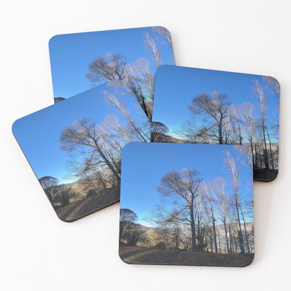 Item preview, Track under the wood designed and sold by AHELENE.