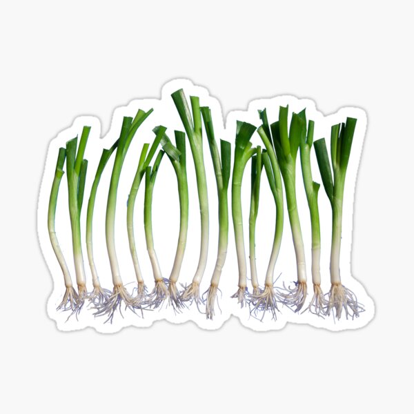 Go Veggie #1 : Green Onion Sticker