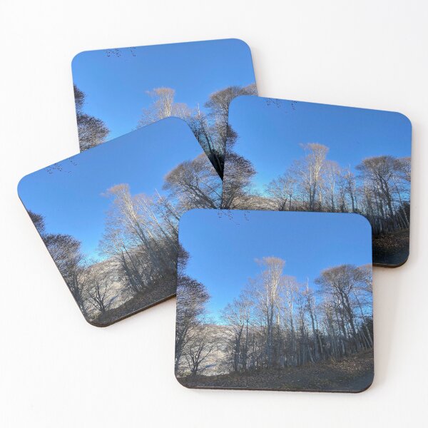 Item preview, Undergrowth and treetops in the winter sun designed and sold by AHELENE.