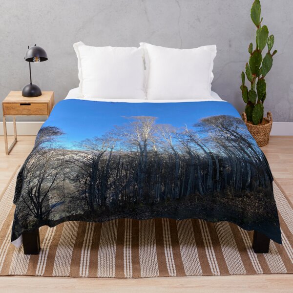 Item preview, Undergrowth and treetops in the winter sun designed and sold by AHELENE.