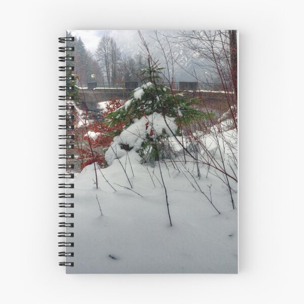 Item preview, Bludenz (Vorarlberg, Austria) designed and sold by PeterCseke.