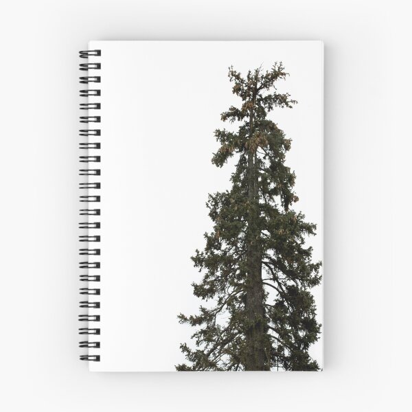 Item preview, Blue Spruce designed and sold by amickable.
