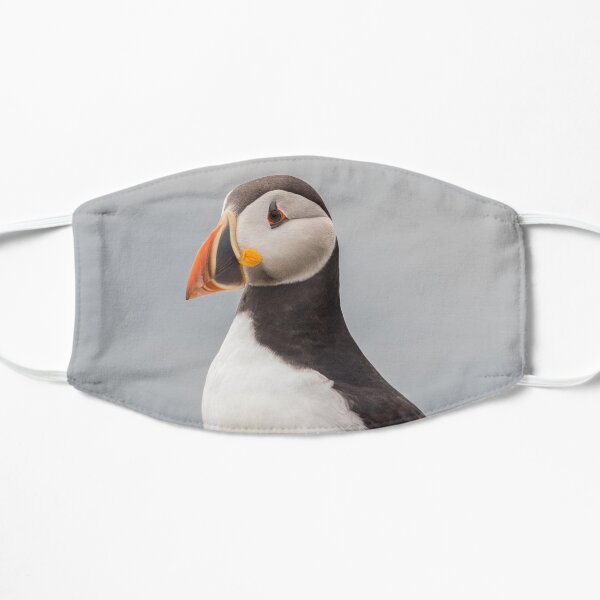 Puffin bird on the rocks Flat Mask