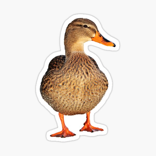 Item preview, What gets your outdoors? Hunting! Duck Mallard Goose Waterfowl Season designed and sold by DOM-Shop.