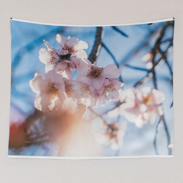 Item preview, ALMOND TREE - DECORATION - ART - PHOTO - ALMOND LOVER  designed and sold by Tropical Blood.