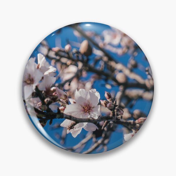 Item preview, ALMOND TREE - PHOTO - DECO - PHOTOGRAPHY - NATURE - DECO designed and sold by Tropical Blood.