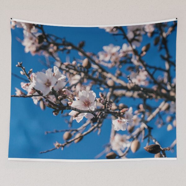 Item preview, ALMOND TREE - PHOTO - DECO - PHOTOGRAPHY - NATURE - DECO designed and sold by Tropical Blood.
