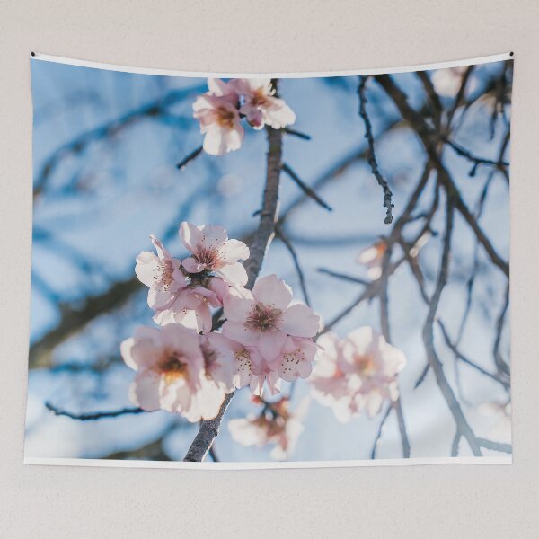Item preview, ALMOND TREE - TREE - DECO - NATURE - LOVE NATURE - PHOTO  designed and sold by Tropical Blood.