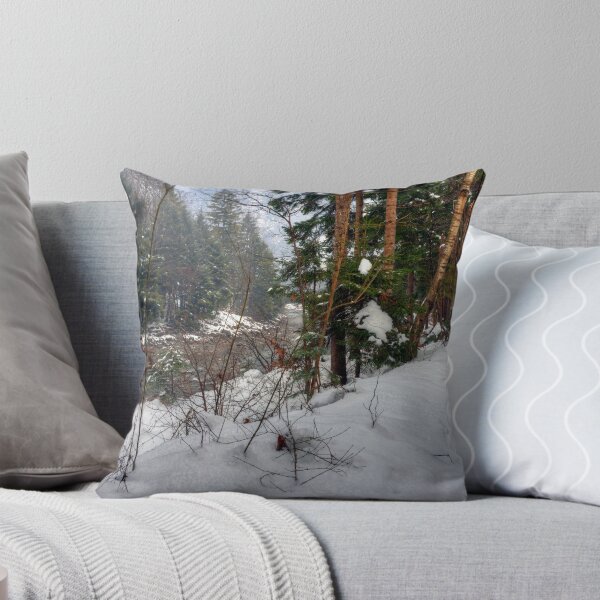 Item preview, Bludenz (Vorarlberg, Austria) designed and sold by PeterCseke.