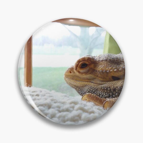 Item preview, Looking Out - Bearded Dragon designed and sold by foozma73.