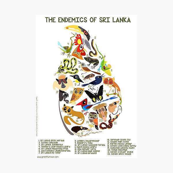 Item preview, The endemics of Sri Lanka designed and sold by Green Humour.